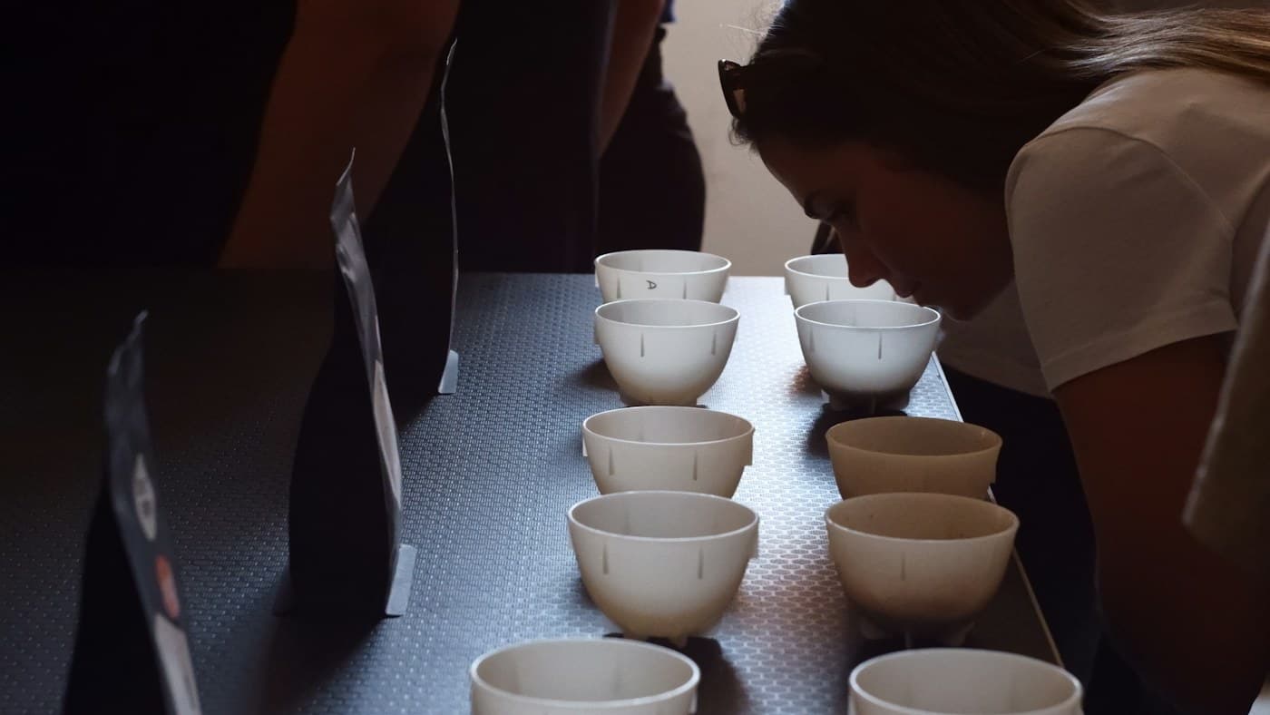 Une dégustatrice sent plusieurs échantillons de café en bols