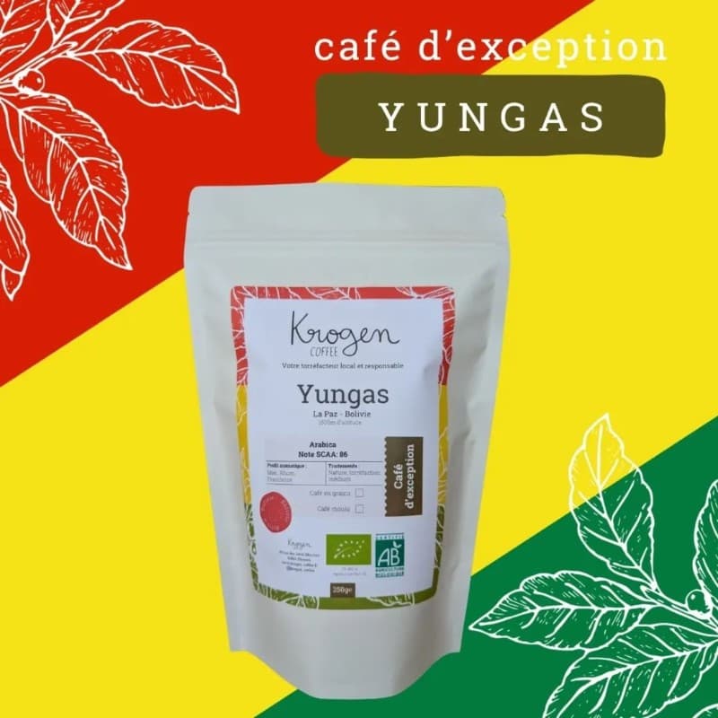 Yungas