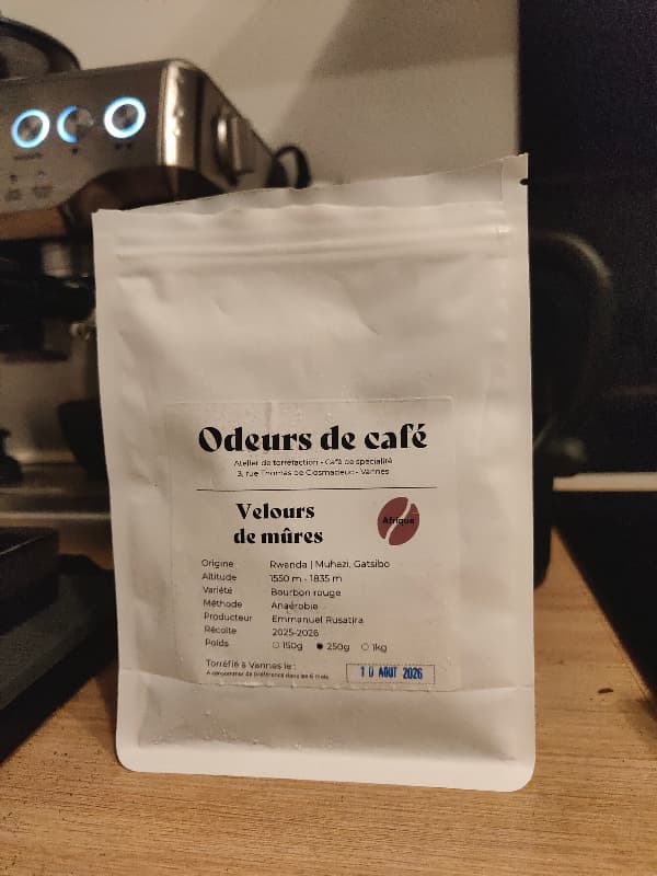 Velours de mûres